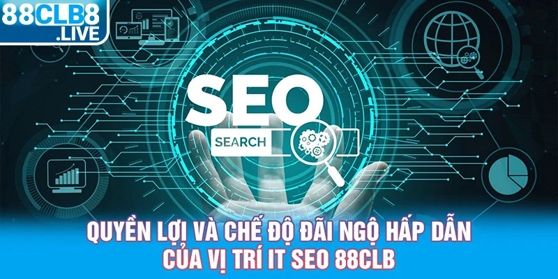 2 quyen loi va che do dai ngo hap dan cua vi tri it seo 88clb