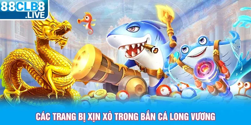 cac trang bi xin xo trong ban ca long vuong