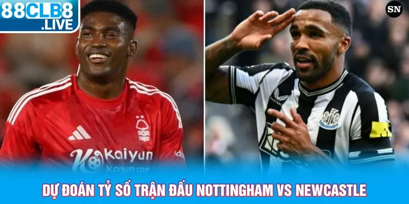 du doan ty so tran dau nottingham vs newcastle