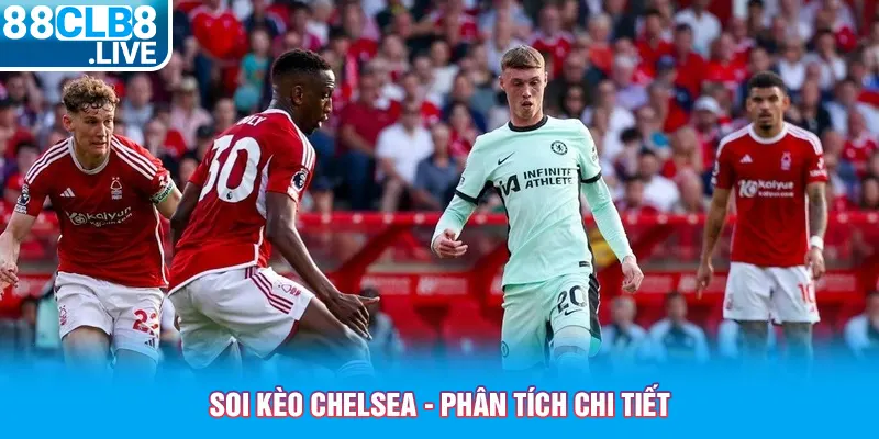 soi keo chelsea phan tich chi tiet