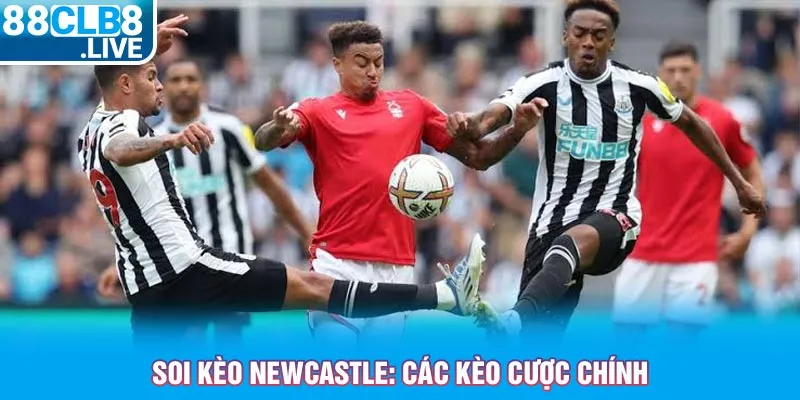 soi keo newcastle cac keo cuoc chinh